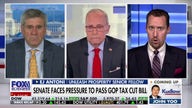 Elon Musk's experience with government 'disheartened' him, economist says