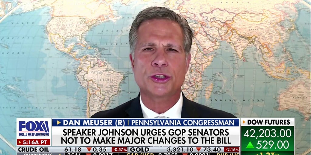 US economy now has a 'pro-growth, common sense' outlook: Rep. Dan Meuser | Fox Business Video