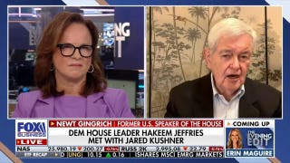 Gingrich argues Democratic leaders are ‘intimidated’ by party’s hard-left wing