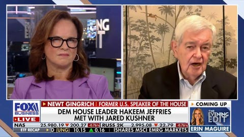 Gingrich argues Democratic leaders are &lsquo;intimidated&rsquo; by party&rsquo;s hard-left wing - Fox Business News