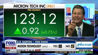 Micron Technology are the ‘nuts and bolts’ of the AI revolution: DR Barton - Fox Business Video