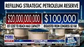 Biden used the Strategic Petroleum Reserve for 'pure political reasons,' says Steve Moore - Fox Business News