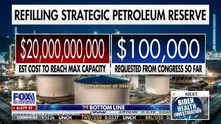 Biden used the Strategic Petroleum Reserve for 'pure political reasons,' says Steve Moore