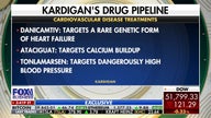 We've developed a first-of-its-kind medicine to battle cardiovascular disease: Kardigan CEO