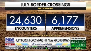Former ICE director praises ‘radical transformation’ at the border under Trump