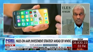 Apple’s stock price increase not driven by revenue growth: Dan Niles - Fox Business Video