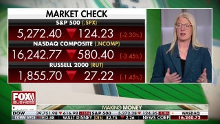 Nobody is talking about these factors bringing inflation down, reveals investment strategist