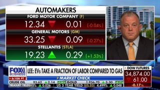 Biden's 'green nonsense' is to blame for UAW strike: Michael Lee - Fox Business Video