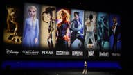 How will Disney’s newly launched streaming service compete in a crowded market?
