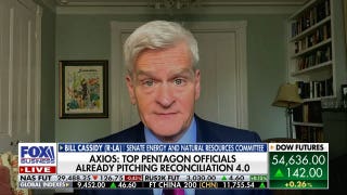 Democratic Socialists of America are the 'energy center' for Democratic Party: Sen. Bill Cassidy