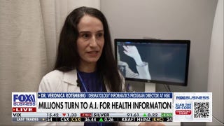 Doctor says AI can be a 'game changer' in skin cancer detection - Fox Business Video