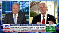 Trump's extra 10% China tariff is about fentanyl: Peter Navarro