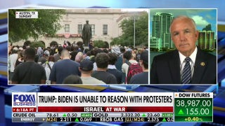 Trump's remarks over Biden's handling of protests are justified: Rep. Carlos Gimenez - Fox Business Video