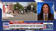 ICE is seeing an 'all-time high' number of threats against officers, deputy director says
