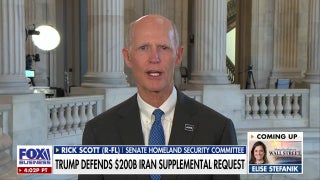 If Democrats don’t want IDs to vote, they ‘want fraud’: GOP senator