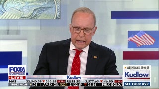 Democrats are ‘scared to death’ of voter ID requirements: GOP lawmaker