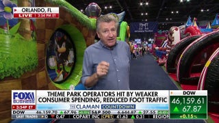 Amusement revenue down, families pull back on theme park spending: Report