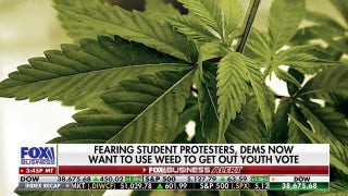 Democrats hope new cannabis policy will draw in young voters - Fox Business Video