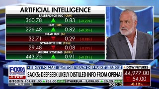 DeepSeek alone isn't going to be a 'lingering problem,' market expert says - Fox Business Video