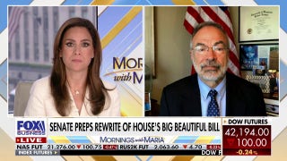GOP lawmaker says there are 'more savings to be had' in the 'big, beautiful bill'