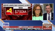 Ohio lawmaker vows to get ‘all the fraudsters’ as bombshell report alleges $750M in improper spending