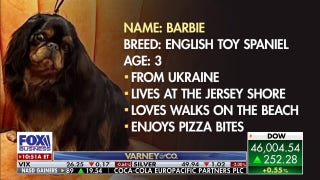 Thanksgiving tradition returns: John O’Hurley hosts 23rd National Dog Show