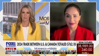 Ex-Canadian MP predicts Trump tariffs will have 'dramatic' effect on Canadian families, businesses