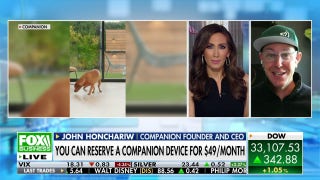 AI dog babysitter provides pets 'sheer delight': John Honchariw - Fox Business Video