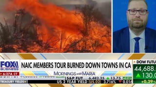 California's 'urban wildfires' caused an estimated $275 billion in damages: Report