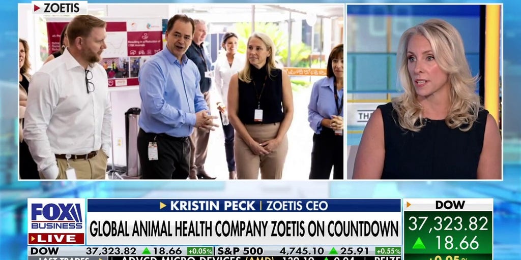 Zoetis CEO We are providing vaccines and biosecurity strategies to