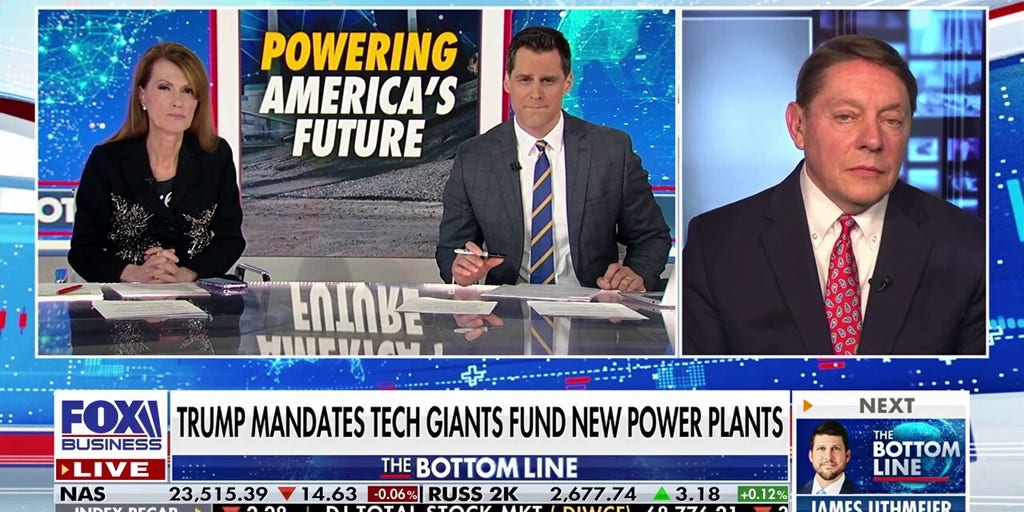 Need to have an 'all of government' approach to make our electricity grid great again: Steve Milloy