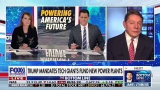 Need to have an 'all of government' approach to make our electricity grid great again: Steve Milloy