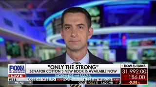 Voters will serve 'resounding verdict' against Democrats' 'ideological agenda': Sen. Tom Cotton - Fox Business Video