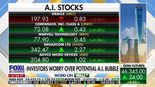 Investors sound alarm over potential AI bubble