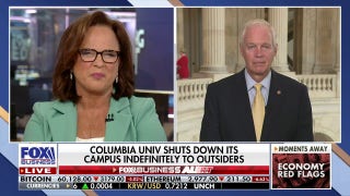 The radical left has infiltrated every institution of this country: Sen. Ron Johnson - Fox Business Video