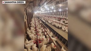 Arkansas chicken farmer accuses Tyson Foods of 'silencing farmers'