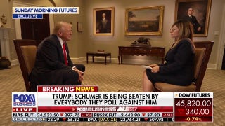 Trump says government shutdown delay is not just about the 'No Kings' rally