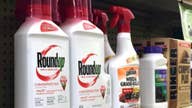 Has Roundup weed killer been ‘extorted’ in court?