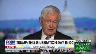 Newt Gingrich: Democrats are 'tragically' the party of big government socialism, radical values