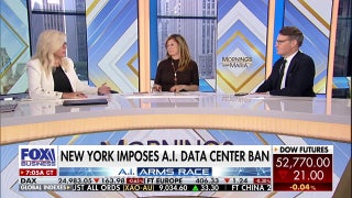 New York's AI data center ban deemed 'crazy,' causing economic exodus