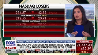 BlackRock strategist: Market pullbacks will likely provide opportunities in the future