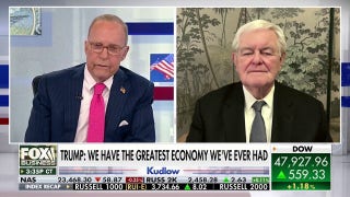 Newt Gingrich predicts 2025 will be ‘Trump boom vs Democrats’ gloom’