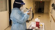 Job outlook gets stronger as vaccine rollout improves: Economist