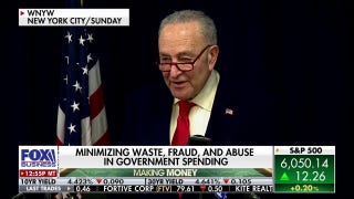 Democrats are jealous of Elon Musk's 'brilliant' engineers: Kennedy - Fox Business Video