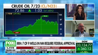 Are American oil and gas producers making more oil? - Fox Business Video