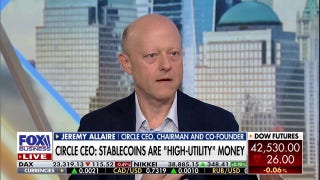 Circle CEO says ‘we’re in the very early stages’ of stablecoin successes