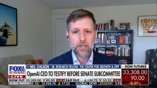 Congress 'doesn't understand' AI enough: Neil Chilson - Fox Business Video