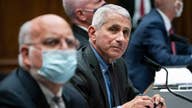 Fauci: Optimistic to have coronavirus vaccine in beginning of 2021 