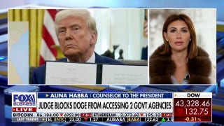 DOGE lawsuits are 'ridiculous,' Trump has the authority: Alina Habba