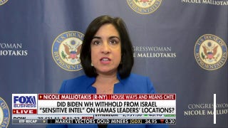 We should be sharing intelligence with our allies: Rep. Nicole Malliotakis - Fox Business Video